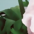 Sketch in Colors 02